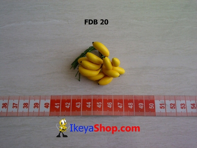 FDB 20  large2